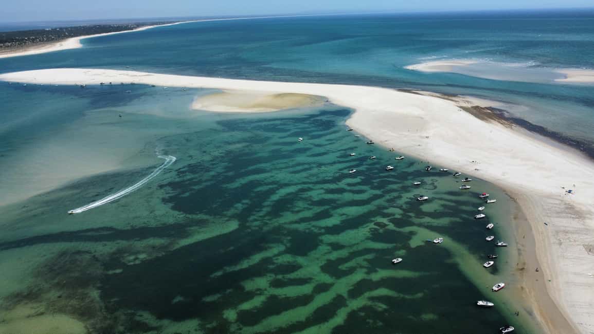 Arrábida: Boat Tour Experience / Lisbon Transfer available - The Sado River dolphin chance: exciting, but treat it like a bonus