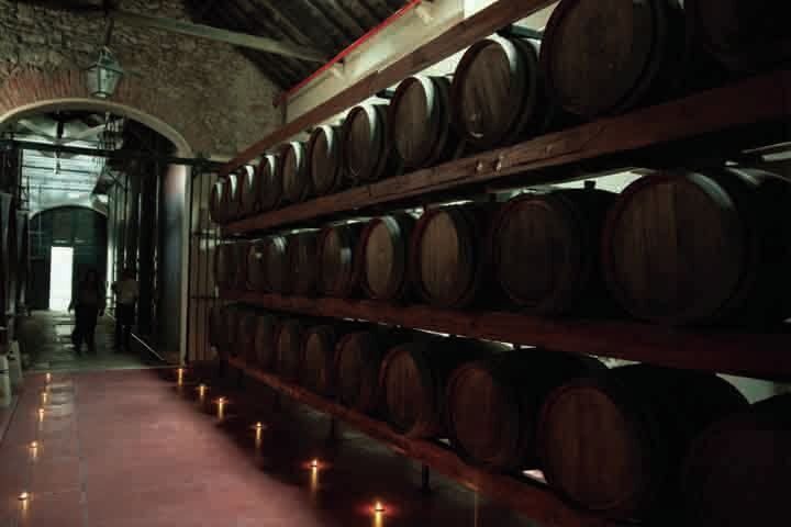 Arrábida: Full-Day Private Tour with Wine Tasting - Key highlights you will feel in your day