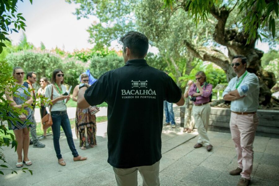Arrábida: Full-Day Private Tour with Wine Tasting - Price and value: what $141 buys you in an 8-hour day