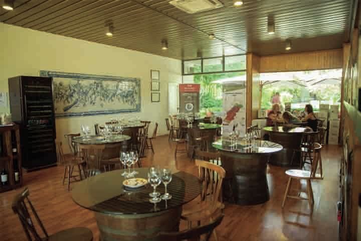Arrábida: Full-Day Private Tour with Wine Tasting - Azeitão wine tasting: six wines and how to choose what to drink next