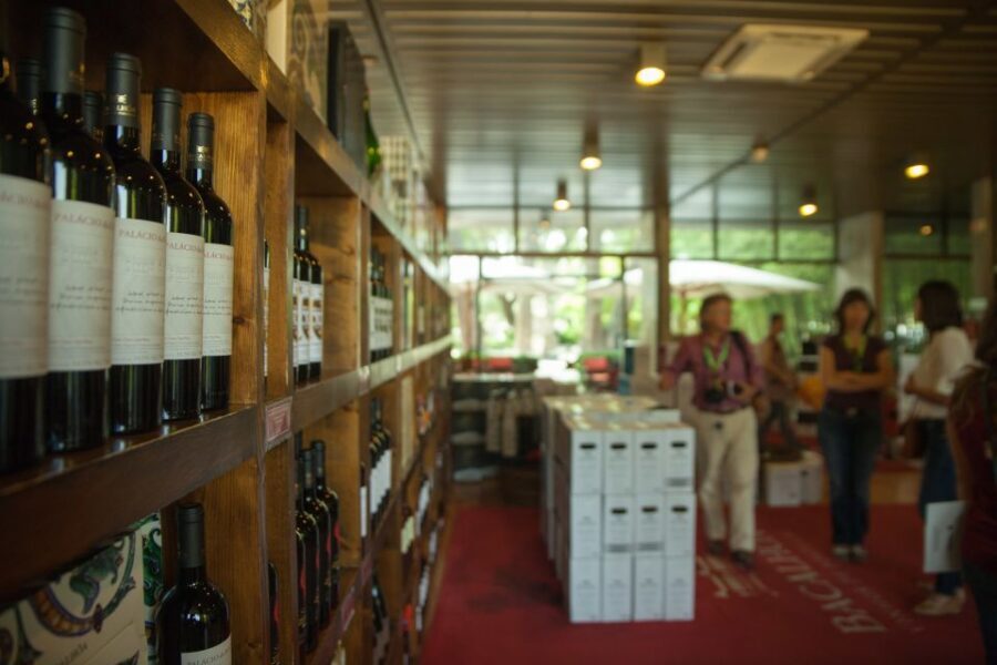 Arrábida: Full-Day Private Tour with Wine Tasting - Guide impact in a private tour: Jose, Nuno, and Luis-style flexibility