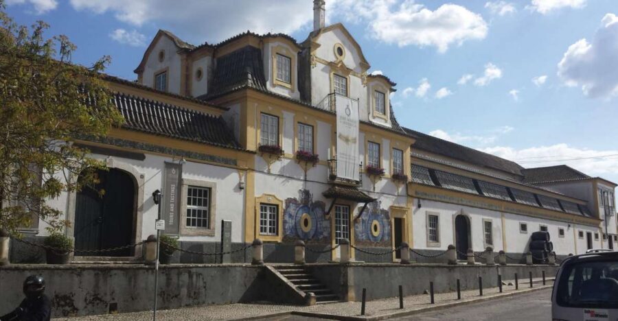 Arrábida: Full-Day Private Tour with Wine Tasting - Albufeira lagoon stop: why this brief moment is worth it