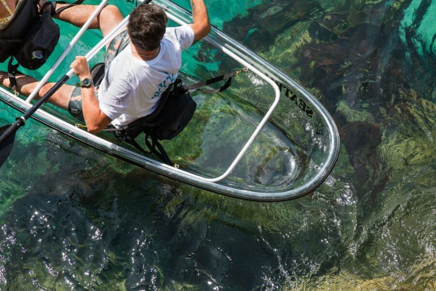 Arrábida: Guided Transparent Kayaking Tour - Key Things to Know Before You Go