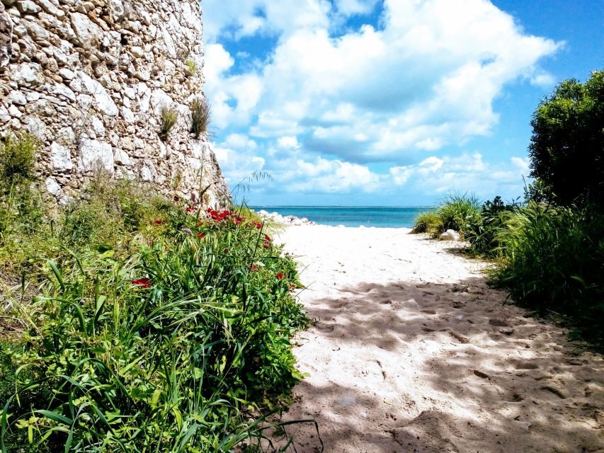 Arrábida Jeep tour to the most beautiful beach of Europe - Price and Value: What $170 Gets You (and What You Still Need to Plan)