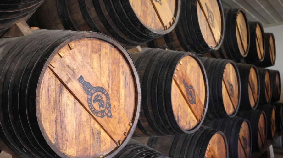 Arrabída Natural Park with Wine Tasting - Transportation and pacing: why the 8 hours feel manageable