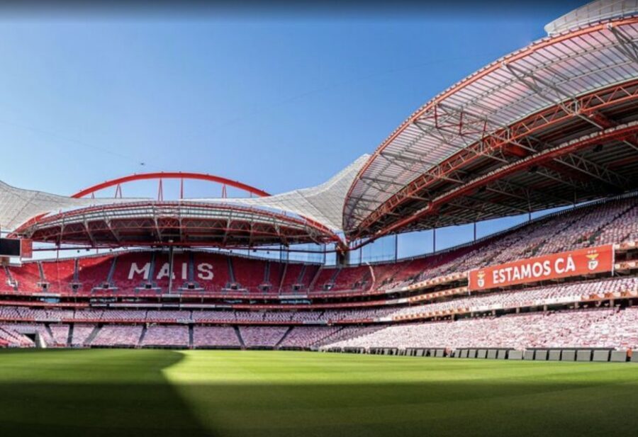Benfica Stadium and Museum Tour - Key moments that make this tour worth it