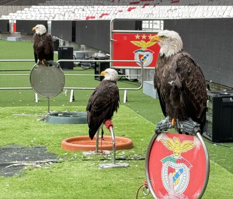 Benfica Stadium and Museum Tour - A Portuguese tile factory stop: a craft break between sports and souvenirs