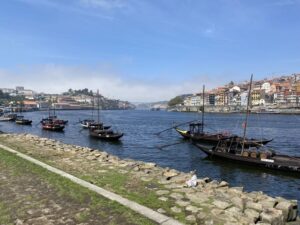 Best of Porto - Private Tour from Lisbon - Private pickup and customization that actually changes the day