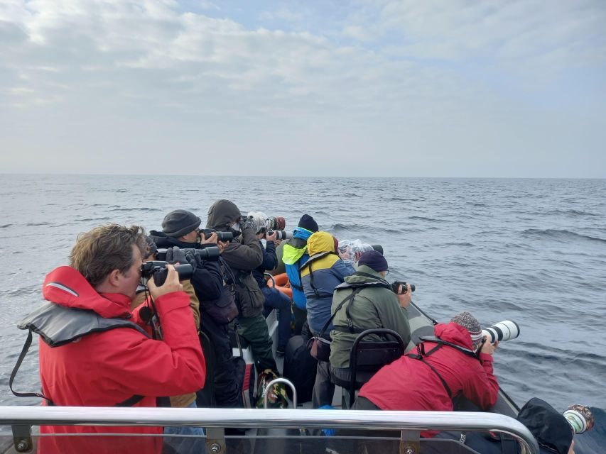 Birdwatching Boat Tour in the Tagus Estuary - Tagus Estuary Nature Reserve: Your Main 2-Hour Birdwatch Window