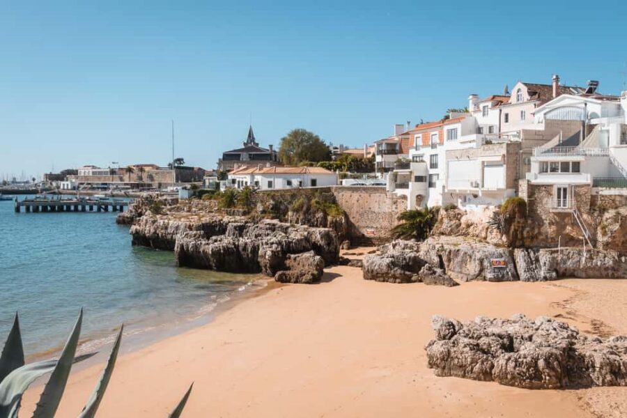 Cascais: Flexible Walking Tour in Historic Center - Paula Rego’s Casa das Histórias: a standout cultural anchor