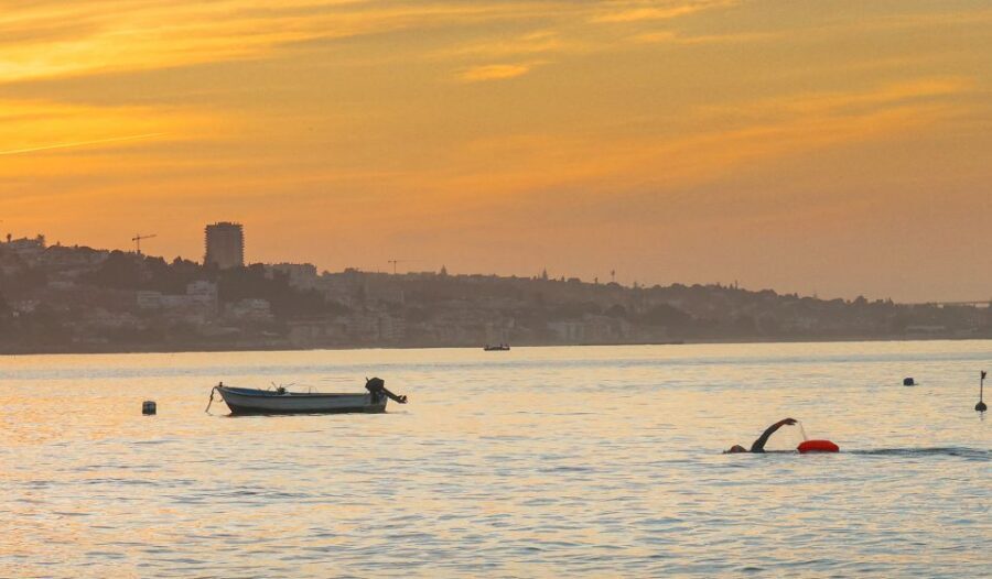 Cascais: Open Water Swimming - Marine life and sea conditions: how to stay cautious without overthinking