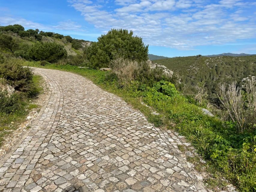 Cascais-Sintra E-bike Tour: Coast & Countryside Adventure - Who should book this and who should skip it