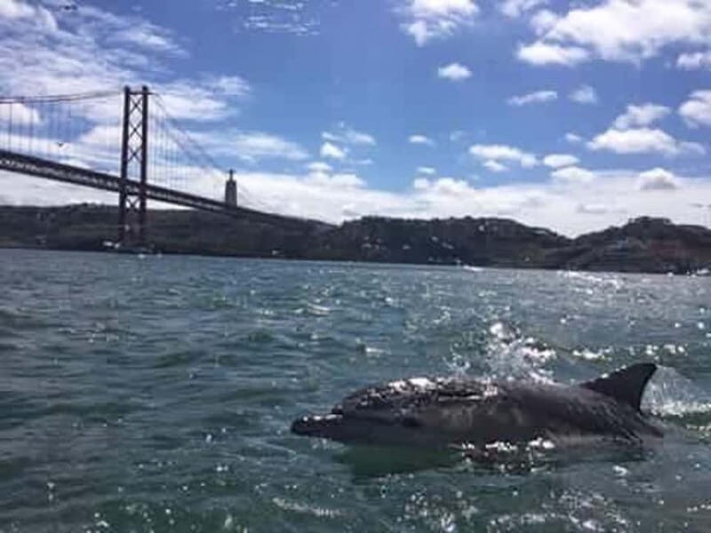 Cultural Sailing Tour in Lisbon - The live guide experience: Portuguese wine + stories in motion