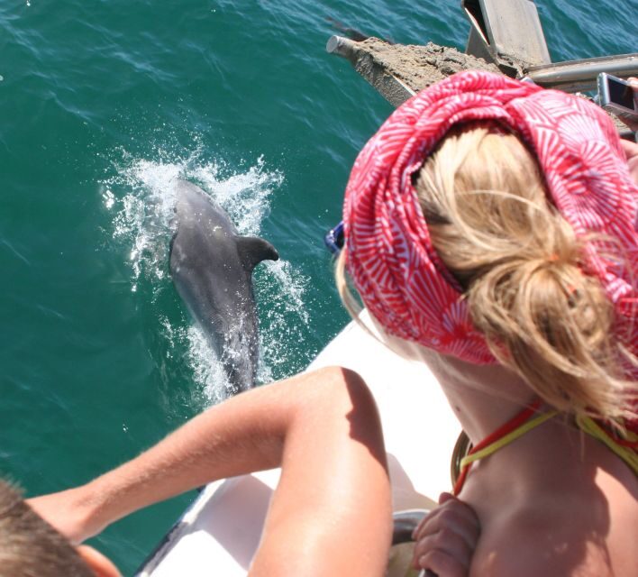 Dolphin Watching in the Wild - Half Day Private Tour - Setúbal Photo Stop and Tróia Time: Using Land Time Without Losing the Plot