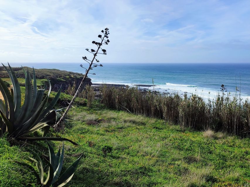 Ericeira Private Tour: 10 Tastings Food Tour - Why $118 per person can feel like good value