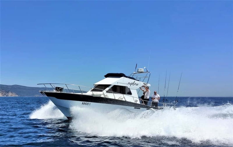 Explore Sesimbra: Sport Fishing All Inclusive half-day trip - Language, Group Size, and Wheelchair Access