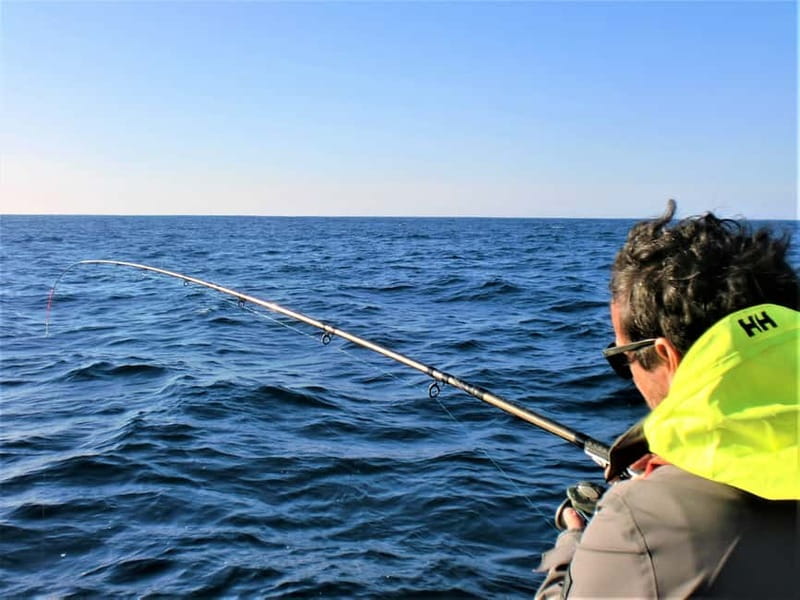 Explore Sesimbra: Sport Fishing All Inclusive half-day trip - Price and Value: Does $227 Make Sense?