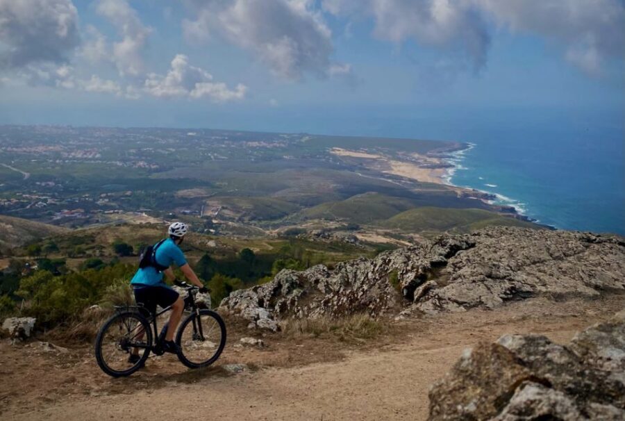 From Cascais: Sintra Guided E-Bike Tour & Guincho Beach - Up through the Sintra Forest: animals, gardens, and fresh fountain water