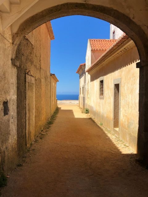 From Lisbon: Arrábida, Azeitão, Sesimbra, Palmela, Setúbal … - Periquita and Moscatel: How to Taste Without Getting Overwhelmed