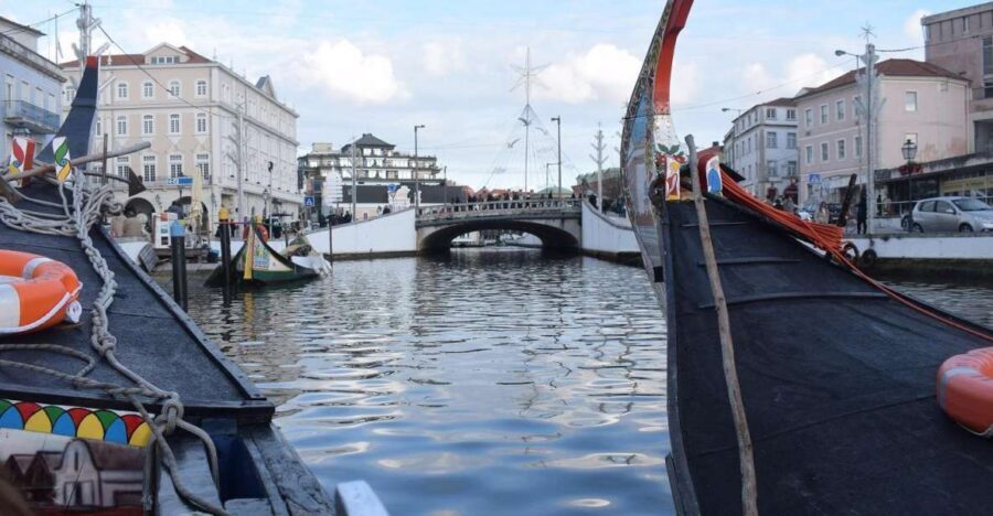 From Lisbon: Aveiro and Coimbra Food Experience - Key points I’d plan around