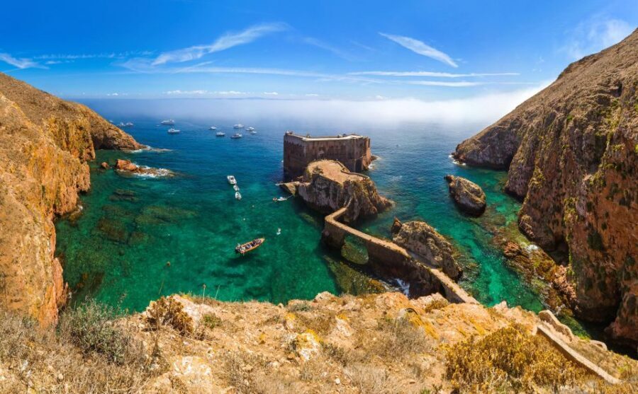 From Lisbon: Berlenga Grande Island Private Tour - Berlenga Grande island: caves, nature reserve paths, and time on your schedule