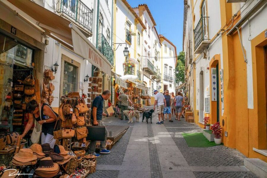 From Lisbon: Évora City Private Tour - Exploring Évora Streets: Cathedral Views and the Art of Not Rushing