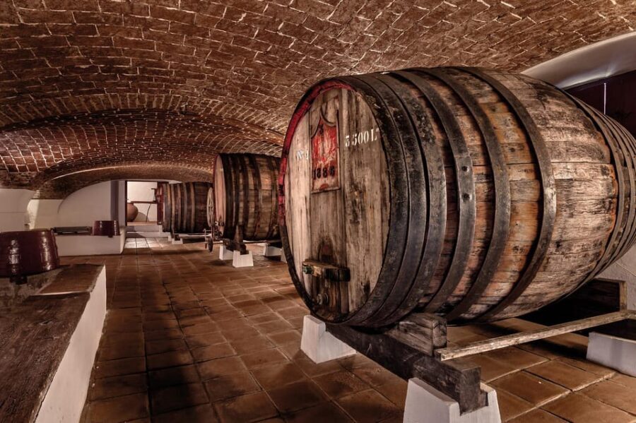 From Lisbon: Évora, Monsaraz, Wine Tasting & Cristo Rei - Wine tasting in Alentejo style: regional varieties with local snacks