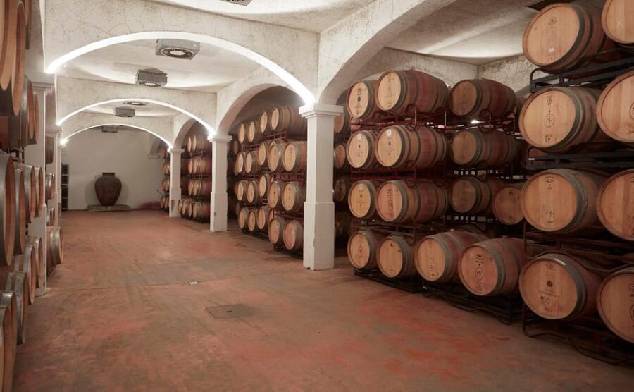 From Lisbon: Évora, Monsaraz, Wine Tasting & Cristo Rei - Who this tour fits best (and who should choose another plan)
