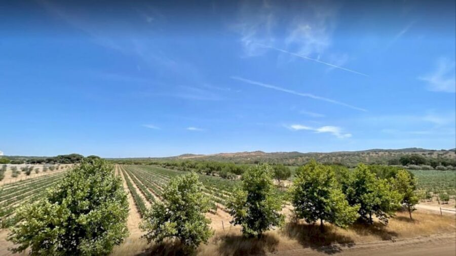From Lisbon: Évora, Monsaraz, Wine Tasting & Cristo Rei - The Évora free-time window: this is where you make the day yours