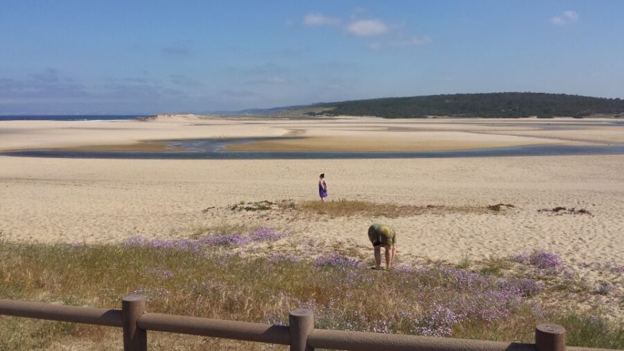 From Lisbon: Half-Day Arrábida Tour w/ Transfers - A half-day Arrábida tour that actually fits real schedules
