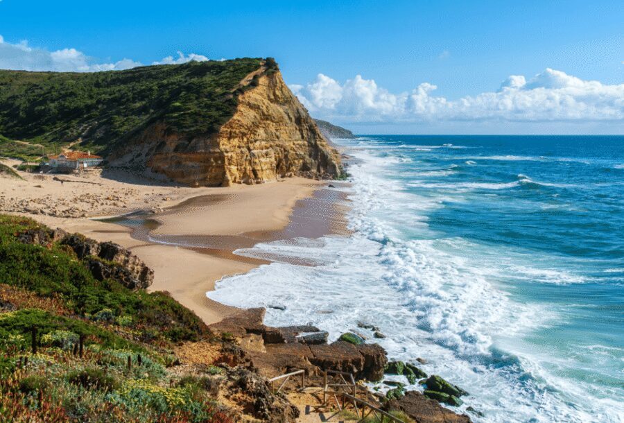 From Lisbon: Mafra Palace and Ericeira - Heritage and the Portuguese Coast - Key highlights you’ll care about