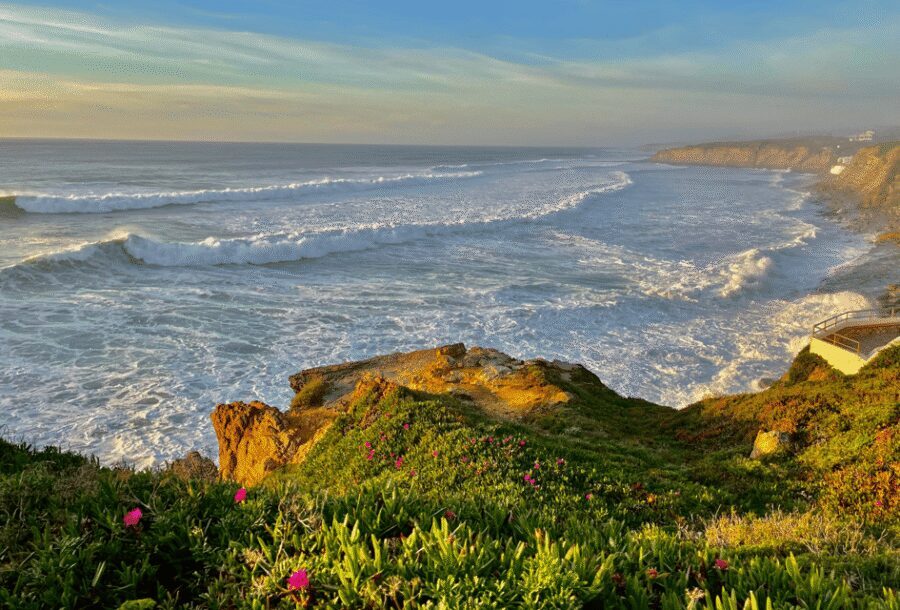 From Lisbon: Mafra Palace and Ericeira - Heritage and the Portuguese Coast - Price and value: what $79 buys you in real terms
