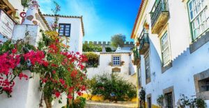 From Lisbon: Nazaré and Óbidos Private Tour in a premium car - Nazaré village stop: photos, viewpoints, and the wave legend at Praia do Norte