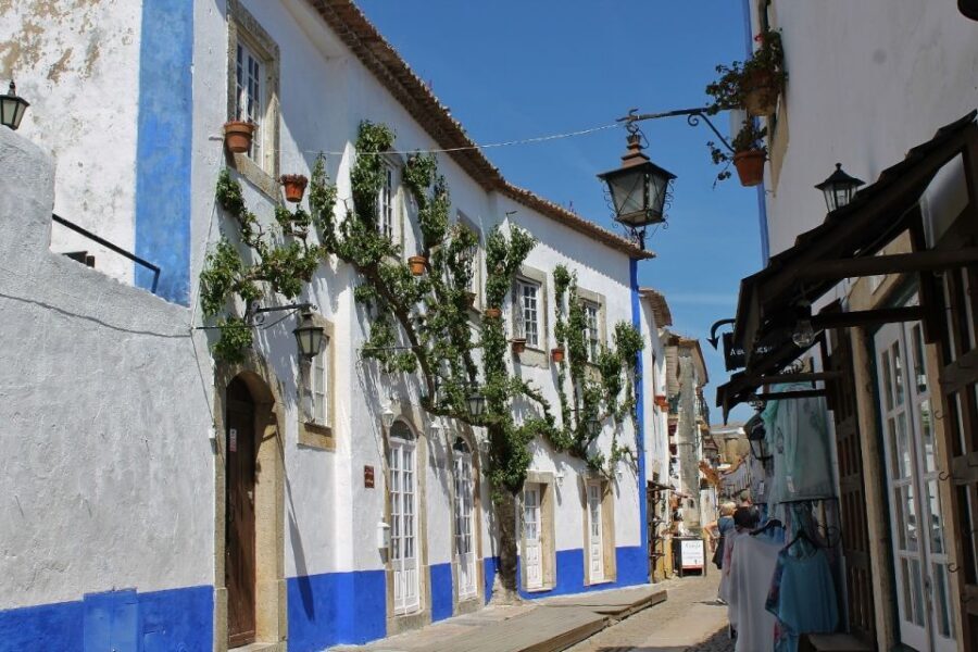 From Lisbon: Óbidos and Mafra Palace Private Tour - Key highlights at a glance