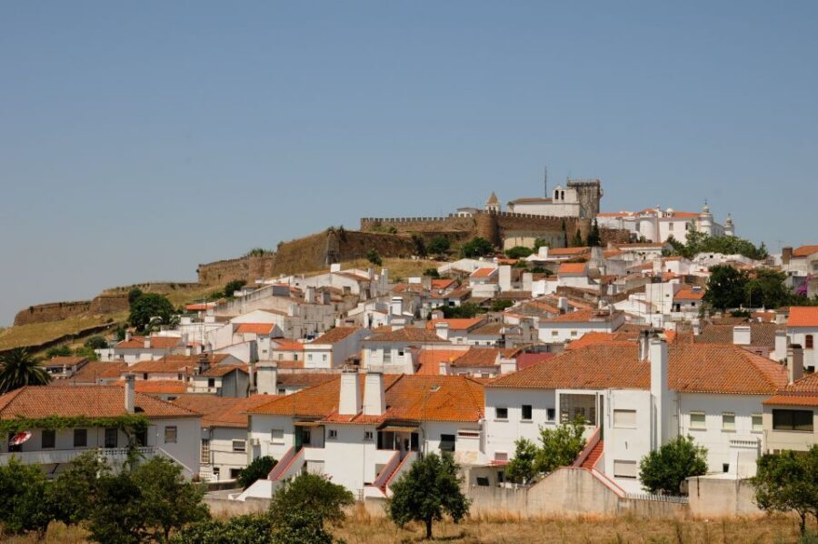 From Lisbon: Private Customized Small-Group Tour to Evora - Cork Processing and Wine: How Customization Can Turn a Day Trip into Your Day
