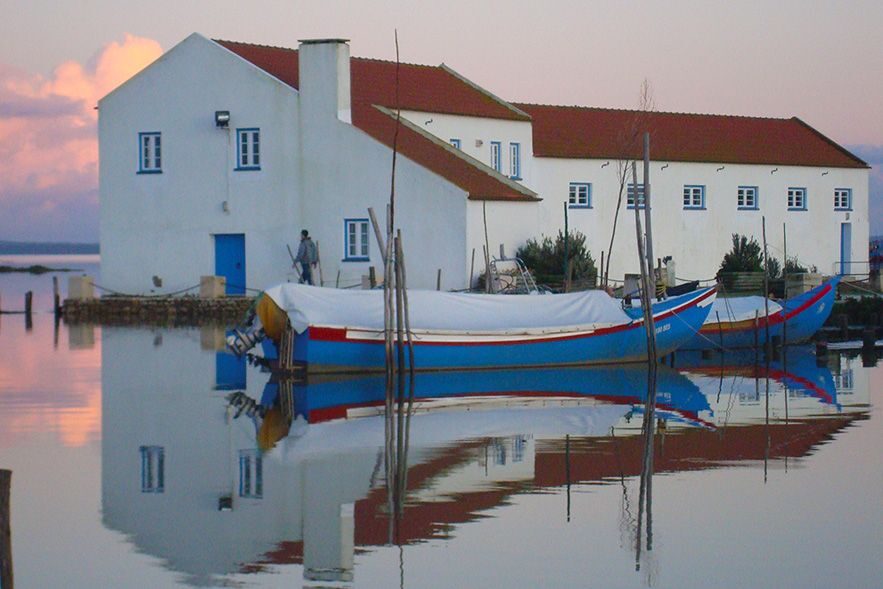 From Lisbon: Private Scenic Wine Tour in Arrabida - Mourisca Tide Mill at the Sado Estuary: the tasting finale that feels special