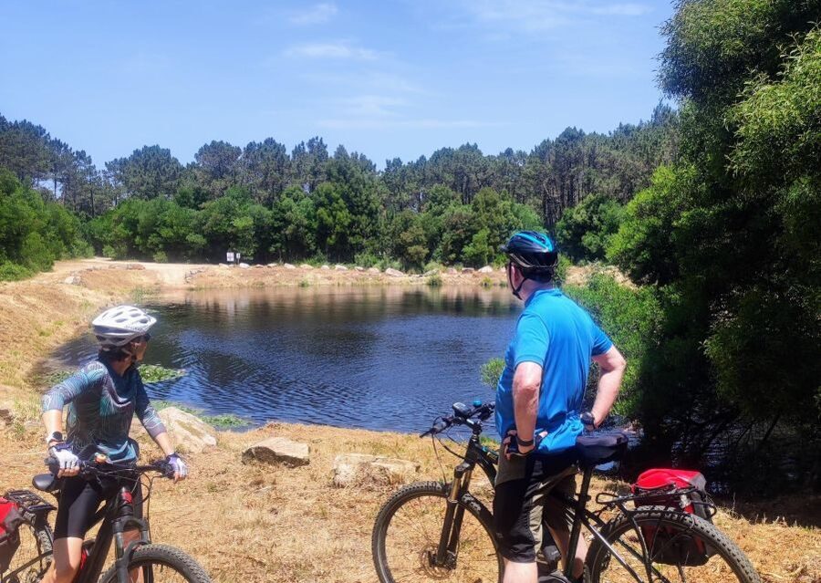 From Lisbon: Sintra and Cascais E-Bike Tour - Guide Quality and Small Group Vibes