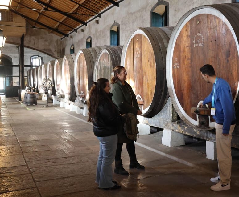 From Lisbon: Sintra, Pena Palace, Cascais and Wine Tasting - Pena Palace: What the Guided Interior Really Adds