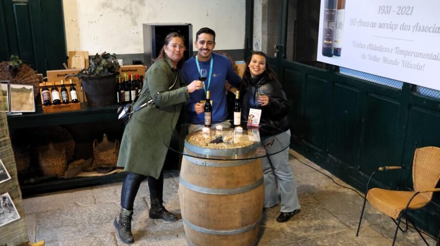 From Lisbon: Sintra, Pena Palace, Cascais and Wine Tasting - Price and Value: Does $387 Make Sense?