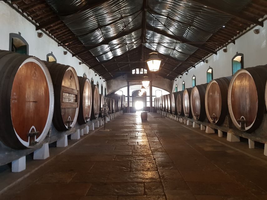 From Lisbon: Sintra Wine Experience - Key highlights worth your attention