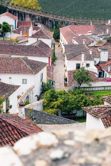 From Lisbon: Tansfer to Porto with stops until 3 cities - The guide + driver combo is the difference between hectic and easy