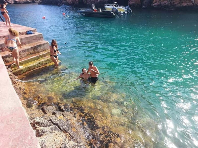 From Lisbon: Tour to Berlengas, a UNESCO natural reserve - Key things to know before you go