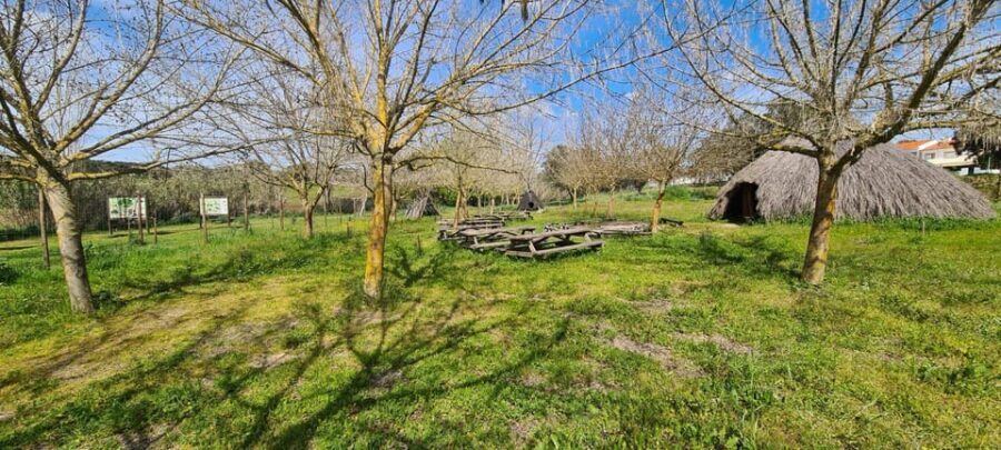 From Montemor or Évora: Guided Hike to Almendres Megalithic - Valverde Lunch Break and Fueling for the Second Half