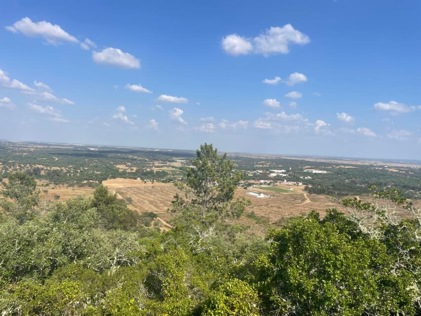 From Montemor or Évora: Guided Hike to Almendres Megalithic - Price, Group Size, and Timing for a 4-Hour Experience