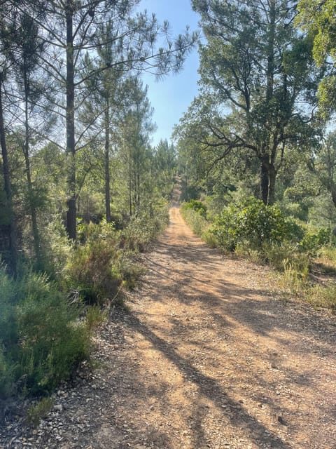 From Montemor or Évora: Guided Hike to Almendres Megalithic - Serra de Valverde Hiking Plan: 8 km, Steep Spots, Good Footwear