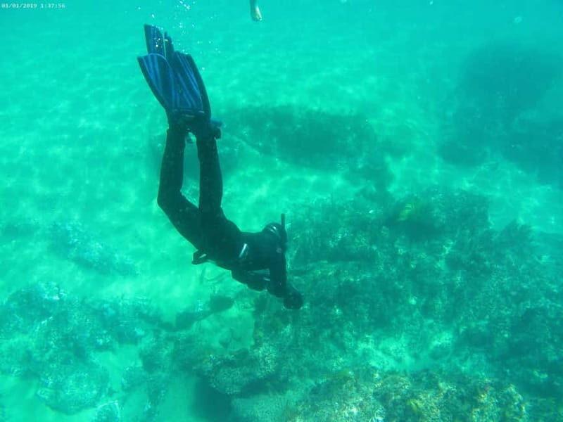 From Sesimbra: Sea Scooter Snorkeling boat Tour - Price and Value: What You’re Actually Paying For at $108