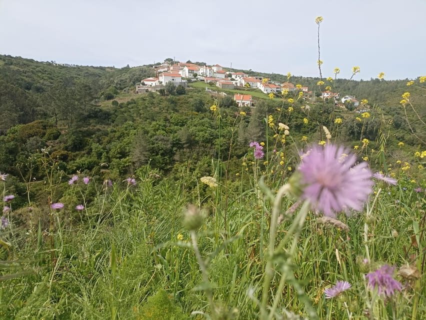 From Sintra, Mafra, or Ericeira: Hike and Wine Tour - Getting there from Sintra, Mafra, or Ericeira without stress