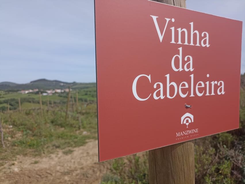 From Sintra, Mafra, or Ericeira: Hike and Wine Tour - Who should book this tour—and who should pass