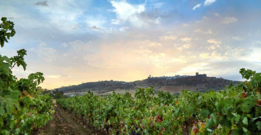 Full-Day Private Cultural Tour in Evora and Monsaraz - Price and Logistics for a Private 3-Person Group from Lisbon