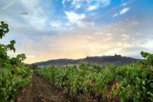 Full-Day Private Cultural Tour in Evora and Monsaraz - Évora Old Town: How to Use Your 2 Hours
